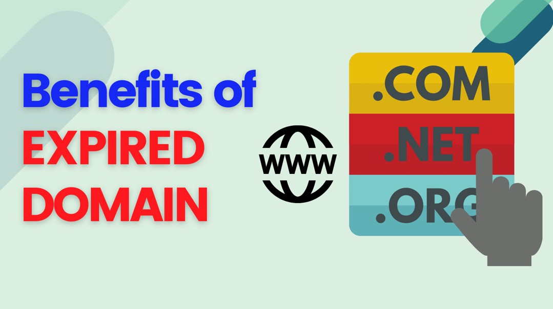 Best Places To Buy a Website in an Expired Domain Name Auction