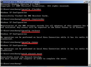 Flush DNS and Winsock Reset