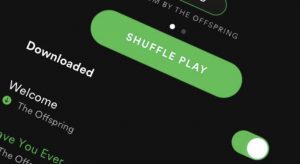 How to Fix Spotify that Doesn't Stop Playing
