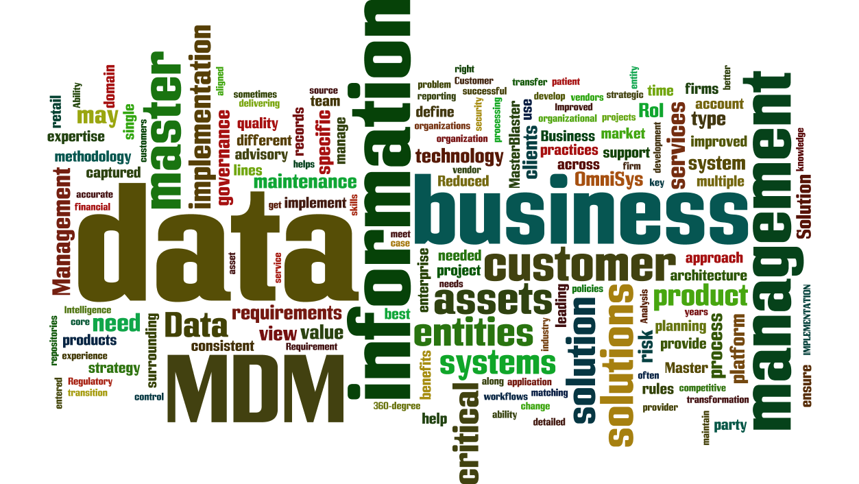 Best Master Data Management Program For Your Business