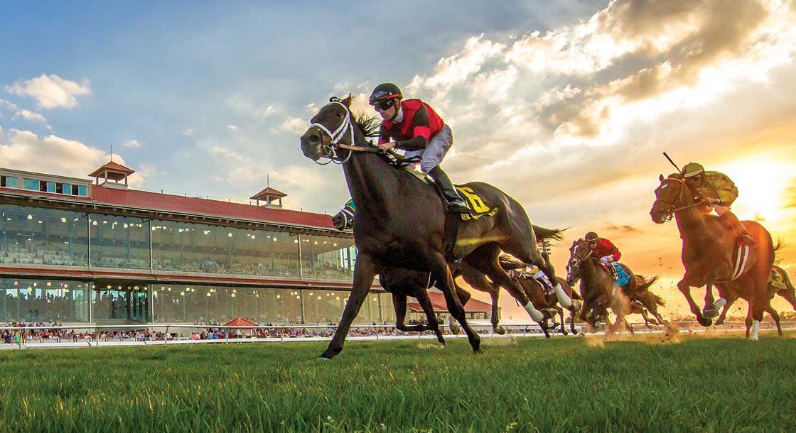 History Of Photo Finish: How It Improved The Accuracy Of Horse Racing Results
