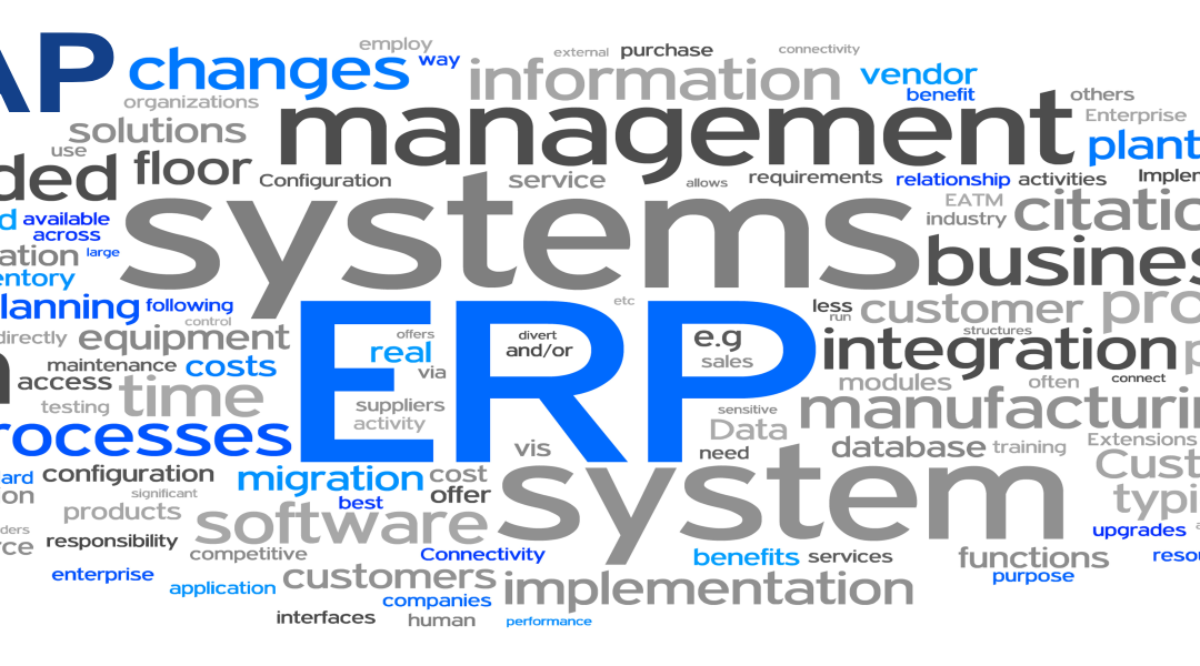 Key Features of the SAP ERP System