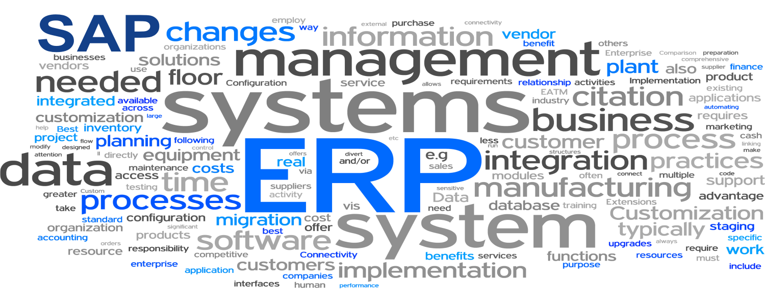 Key Features of the SAP ERP System