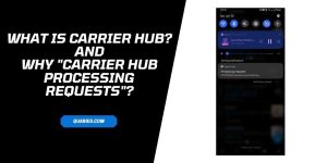 What Issues Is Carrier Hub Having?
