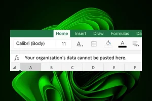 Create a New File : Your Organization's Data Cannot be pasted Here 