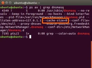 How can I Clear DNS Cache on linux