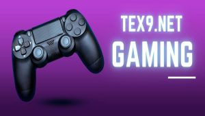 What are Tex9.Net Games?