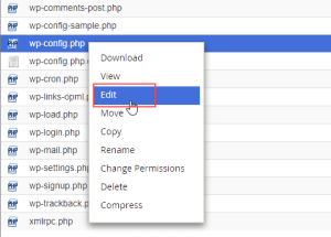 Click right-click on the wp-config.php file and choose View/Edit.