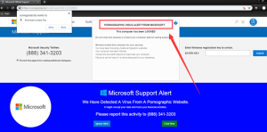 What is a Pornographic Virus ALERT from Microsoft?