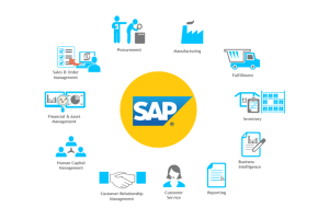 A Breakdown of the Different SAP Services Available