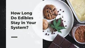 how long does 10mg edible stay in your system reddit