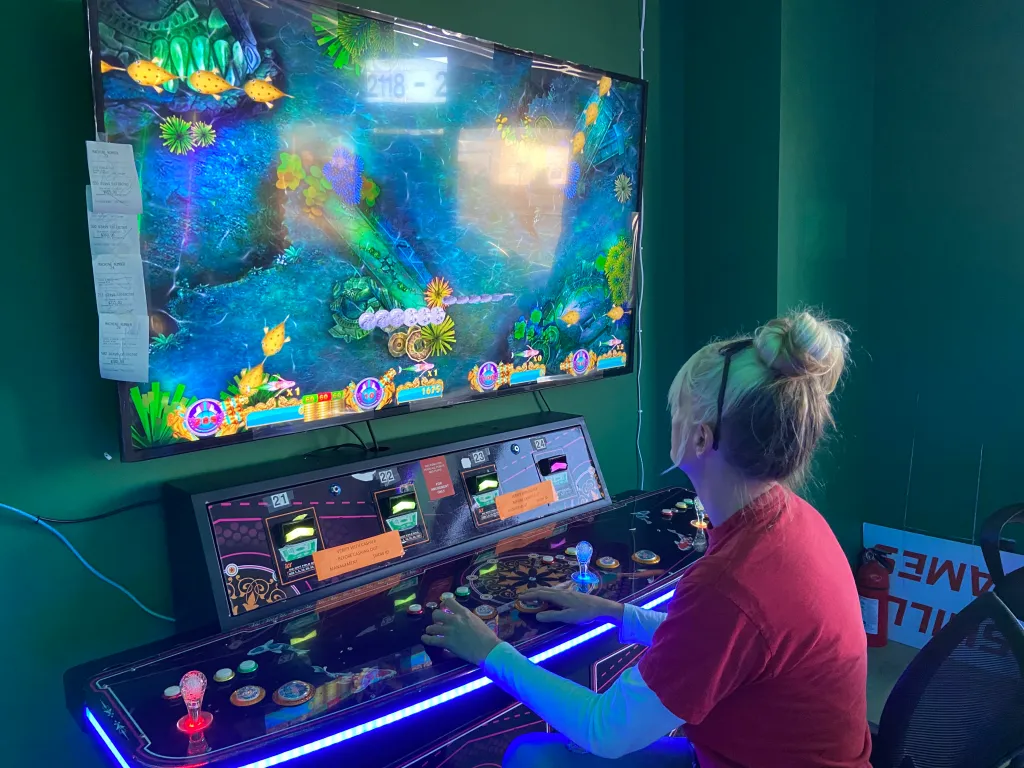 Getting Started with Nothing2Hide.net Gaming: A Step-by-Step Guide